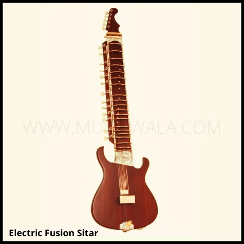 Electric-Fusion-Sitar-1