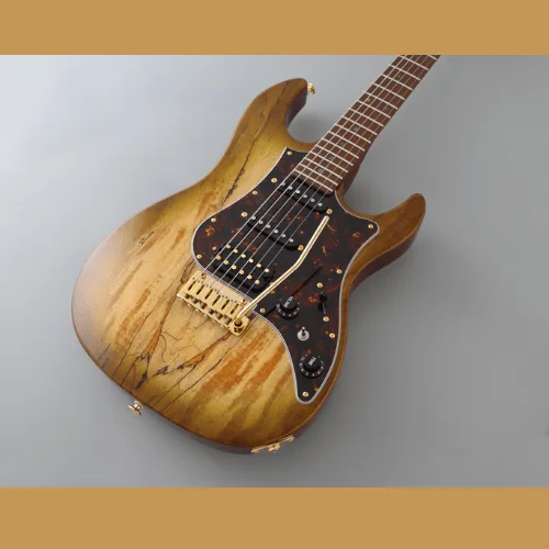 FGN-EOS2-EW1-RM-ELECTRIC-GUITAR-2